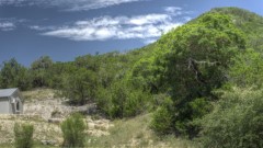 Lost Maples Lodging and Cabins
