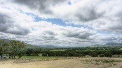 Lost Maples Lodging and Cabins