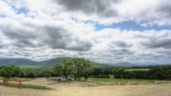 Lost Maples Lodging and Cabins