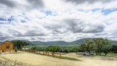 Lost Maples Lodging and Cabins
